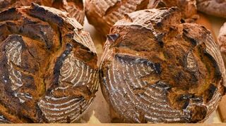 Markenzeichen deutscher Esskultur: Lecker duftendes Brot.