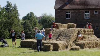 Das Kartoffelfest findet am Sonntag statt.