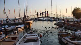 Abendstimmung im Hafen von Bardolino. Nicht nur Enten und Schwäne fühlen sich hier sichtlich wohl.