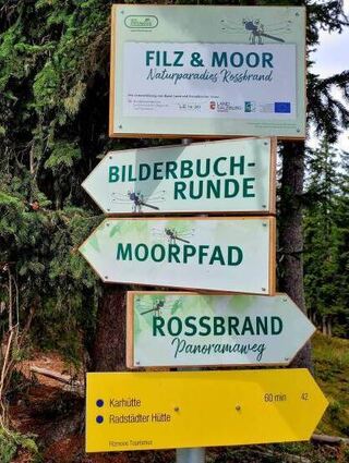Bilderbuchrunde, Moorpfad oder Rossbrand-Panoramaweg?