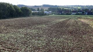 In Rosenberg wird ein neues Gewerbe- und Mischgebiet erschlossen.
