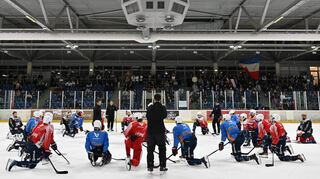 Die Fans der Adler Mannheim hatten am Samstag das Teamtraining besucht und die Mannschaft auf die neue Saison eingeschworen.