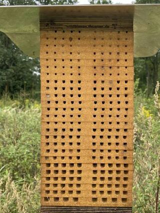 Eine Nisthilfe in Osterburken: Nur wenige der drei bis neun Millimeter großen Niströhren sind belegt.