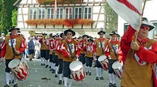 Musikkapellen und Fanfarenzüge sorgen für Unterhaltung und den richtigen Ton.