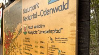 Zum Geo-Naturpark gehört zum Beispiel der „Limeslehrpfad“. Führungen werden auch zu diesem Thema angeboten.