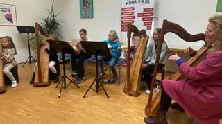 Ein Schülerkonzert des Musikstudios Beibl im Creglinger Romschlössle zeigte die Vielfalt der Saitenmusik.