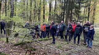 Der Walldürner Gemeinderat betrachtete die vielfältigen Facetten des Forstes bei der Waldbegehung im „Großen Wald“ und im „Ehrlein“.