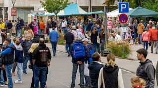 Für die Besucher war beim Adelsheimer Herbstfest einiges geboten.