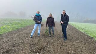 Durch die Umwandlung einer 9000 Quadratmeter großen Fläche in Grünland werden die Gebiete „Brach“ und „Rinderbachtal“ in Königheim vernetzt.