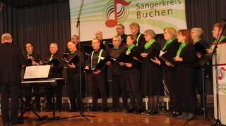 Sieben Chöre des Sängerkreises Buchen und einer aus dem Sängerkreis Mosbach überzeugten das Publikum bei der „Nacht der Chöre“, dass Singen unter die Haut geht.