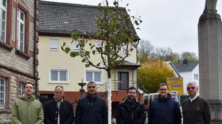 Der Jubiläumsbaum zur 1250-Jahr-Feier in Altheim ziert nun den Platz vor der Alten Schule.