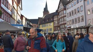 Beim Wertheimer Bauernmarkt am Sonntag war in der Innenstadt viel los. Bilder: Nadine Schmid