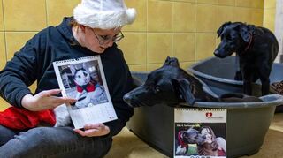 Für den guten Zweck wird auch der neue Tierheim-Kalender 2025 verkauft.