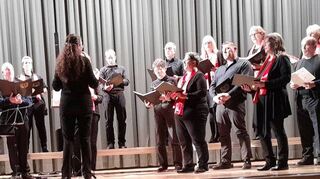 Die „Harmonists“ aus dem Niederstettener Stadtteil Adolzhausen gehörten zu den Gästen des Chorkonzerts „Moderne Chorwelt“ im Forum in Rot am See. Sie steuerten wie fast alle anderen Chöre vier Songs bei.