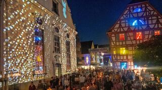 Die Stadt Adelsheim leuchtet nicht nur im Sommer. Das neue Logo soll mit leuchtenden Farben die Stärken der Stadt noch besser zeigen.