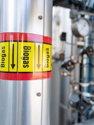 Biogas wird hier erzeugt.