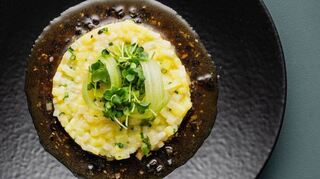 Sellerie-Risotto mit Trüffelvinaigrette.