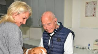Tierarzt Dr. Ulrich Pufe bei der Untersuchung.