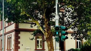 Die Kinderarztpraxis in der Würzburger Straße bleibt bestehen.