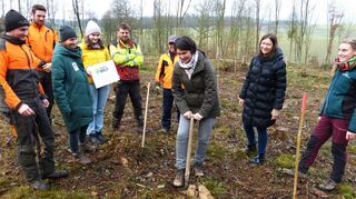 2000 Bäume für stabilen Zukunftswald: Die Nussbaum-Stiftung unterstützt so die Stadt Boxberg. Die symbolische Übergabe der Baumspende fand jetzt im Beisein von Bürgermeisterin Heidrun Beck (Zweite von rechts), Revierförsterin Alisa Baier (rechts), Miriam Tsolakidis (Nussbaum-Stiftung, Bildmitte) und Laura Peters, Schutzgemeinschaft Deutscher Wald (Dritte von links) statt.