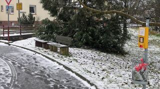 Trotz bereitgestellter Hundekotbeutelspender mit Mülleimern (rechts) und häufiger Ermahnung ist liegengelassener Hundekot noch immer ein großes Ärgernis in Grünenwört.