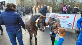 Ein besonders schönes Pferd (mit zusätzlichem blauem Sonderpreis) begeistert Jung und Alt beim Rossmarkt.
