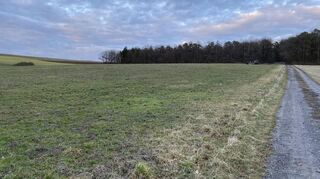 Knauf will noch 2025 mit dem Bau des Werks zum Untertage-Abbau von Gips beginnen.