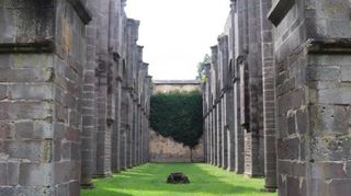 83 Meter lang ist die Kirche, die nach der Auflösung des Klosters zur Ruine gemacht wurde.