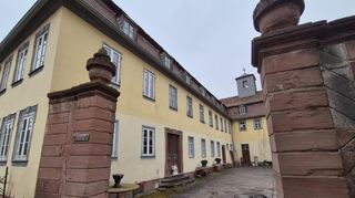 Das Alte Schloss im Tauberbischofsheimer Stadtteil Distelhausen ist ein echtes Kleinod. Allerdings beklagt Eigentümer Manfred Giolda, dass ihm die Untere Denkmalschutzbehörde zu viele Hürden in den Weg stelle.
