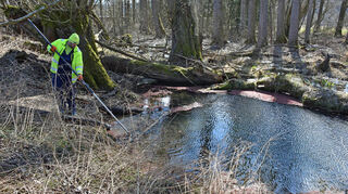 Das Biotop am Radweg bei Edelfingen: blutrot gefärbt war das Wasser die vergangenen Tage.