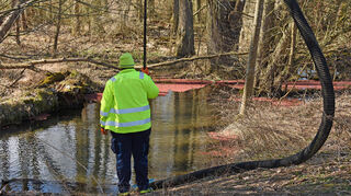 Der „Große Algenfarn“ wird von der Wasseroberfläche abgesaugt.