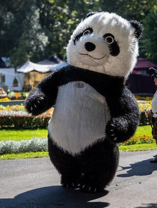 Pandafreunde kommen auch auf ihre Kosten.