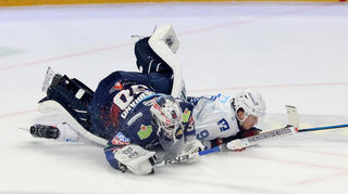 Die Eisbären Berlin mit Torhüter Jake Hildebrand (l.), rangen Leon Gawankes Adler Mannheim nieder.