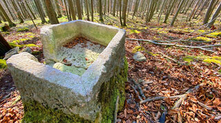 Der so genannte „Taufstein der Wiedertäufer“ überhalb des Herrgottstals im Wald nahe Schmerbach – am Zusammenfluss von Schmerbach und Rimbach).