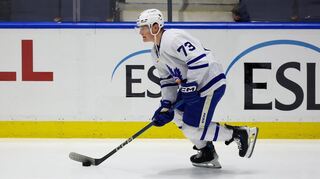 Zach Solow, hier im Trikot der Toronto Marlies, soll einen Vertrag bei den Adlern Mannheim unterschrieben haben.