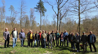 Bei der Waldbegehung in Ravenstein schauten sich Gemeinderäte und interessierte Bürger vier Forstbilder genauer an.