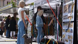 Schmuck, Lederartikel, Schönes und Nützliches aus Holz, Keramik und Metall sowie vieles mehr erwartet die Besucher beim Kunsthandwerkermarkt in Tauberbischofsheim.