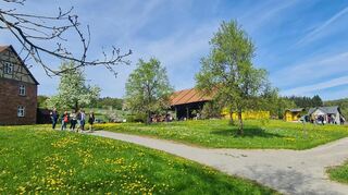 Die Steinbacher Bienenhäuser rechts neben der Dreschscheune im Odenwälder Freilandmuseum bereichern das anmutige Ensemble nun eindrucksvoll.