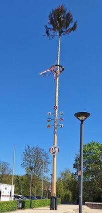 Der Maibaum ist ein Zeichen der Fruchtbarkeit und Freiheit.