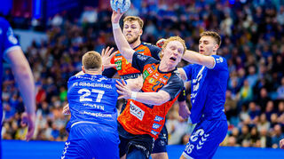 Löwe Gustav Davidsson hat einen neuen Verein gefunden.