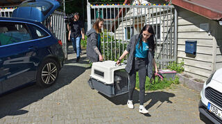 Die Boxen werden verladen.