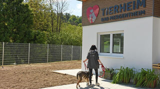 Das neue Tierheim ist erreicht.