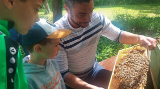 Vom spannenden Leben der Bienen erzählte Bürgermeister und Hobby-Imker Nick Schuppert bei seiner Führung zum „Internationalen Tag der Biene“ im Weikersheimer Schlossgarten.