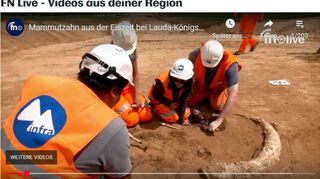 Auf einer SuedLink-Baustellenfläche im Raum Lauda-Königshofen wurde ein Mammut-Stoßzahn entdeckt. Es handelt sich laut Experten um einen sehr seltenen und spektakulären archäologischen Fund aus der Eiszeit. Ausführliche Informationen gibt es in einem neuen FN-Video.