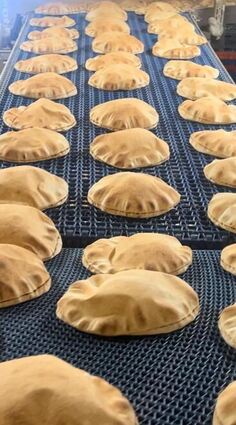 Auf einem langen Band können die Fladenbrote nach dem Backen auskühlen. In wenigen Monaten soll die Produktion der Familie Youness nach Lauda verlagert werden.