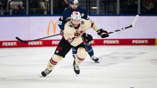 Die Adler Mannheim verstärken sich mit dem Verteidiger Hayden Shaw.