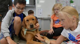 Schulhund Ada an der GMS Weikersheim: Während die Schülerinnen und Schüler lesen, wirkt die Hündin beruhigend auf sie ein. Der Körperkontakt fördert die positive Lernatmosphäre.