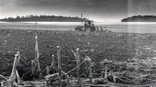 Die Schäden für die Landwirtschaft gingen in die Millionen.