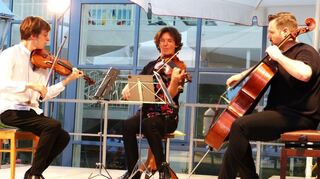 Musikgenuss auf höchstem Niveau: Das Streichtrio Tim Crawford, Violine, Sascha Bota, Viola und Florian Schmidt-Bartha, Violoncello, (von links) boten am Sonntagabend, beim 26. Rosengartenkonzert in Boxberg, Kammermusik der internationalen Spitzenklasse