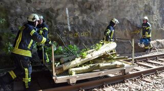 Die Feuerwehr transportierte den umgestürzten Baum aus dem Bahntunnel.